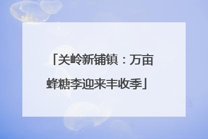 关岭新铺镇：万亩蜂糖李迎来丰收季