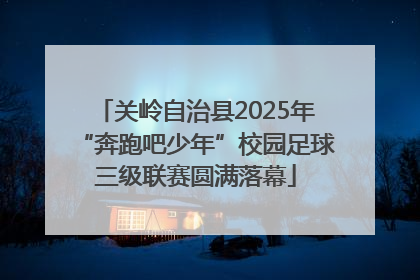 关岭自治县2025年“奔跑吧少年”校园足球三级联赛圆满落幕