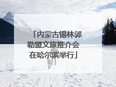 内蒙古锡林郭勒盟文旅推介会在哈尔滨举行