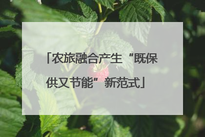 农旅融合产生“既保供又节能”新范式