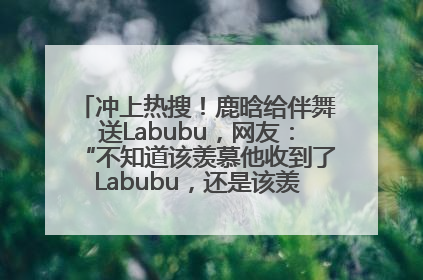 冲上热搜！鹿晗给伴舞送Labubu，网友：“不知道该羡慕他收到了Labubu，还是该羡慕鹿晗送他礼物”