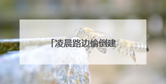 凌晨路边偷倒建筑垃圾，一张快递单“露马脚”