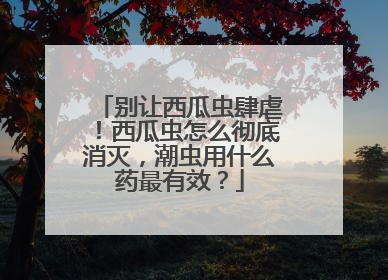 别让西瓜虫肆虐！西瓜虫怎么彻底消灭，潮虫用什么药最有效？