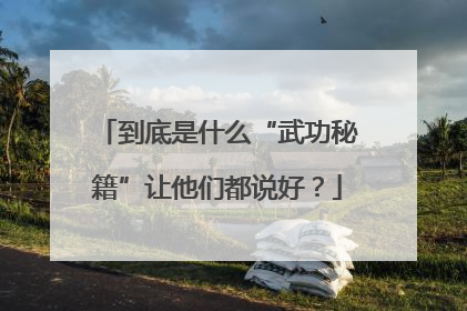 到底是什么“武功秘籍”让他们都说好？