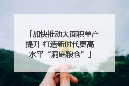 加快推动大面积单产提升 打造新时代更高水平“洞庭粮仓”