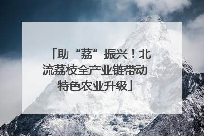 助“荔”振兴！北流荔枝全产业链带动特色农业升级