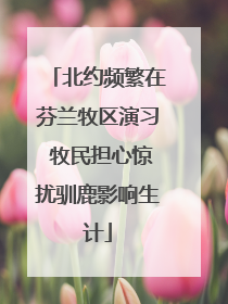 北约频繁在芬兰牧区演习 牧民担心惊扰驯鹿影响生计