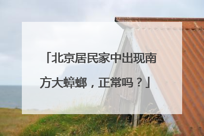 北京居民家中出现南方大蟑螂，正常吗？