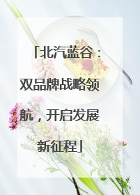 北汽蓝谷：双品牌战略领航，开启发展新征程