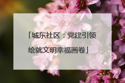 城东社区：党建引领绘就文明幸福画卷