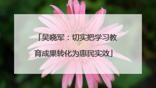 吴晓军：切实把学习教育成果转化为惠民实效