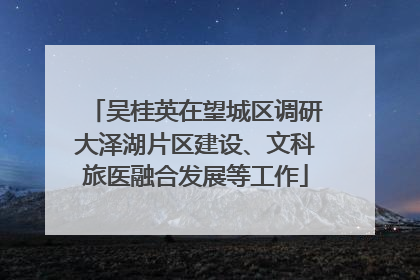 吴桂英在望城区调研大泽湖片区建设、文科旅医融合发展等工作