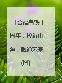 合福高铁十周年：拉近山海，融通未来(图)