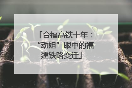 合福高铁十年：“动姐”眼中的福建铁路变迁