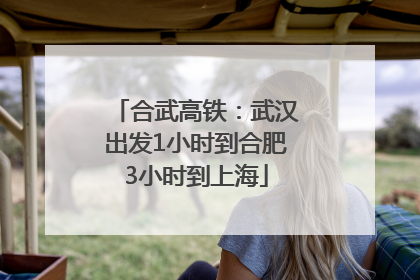 合武高铁：武汉出发1小时到合肥3小时到上海