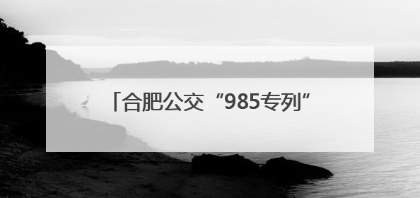 合肥公交“985专列”为高考考生提供接送服务