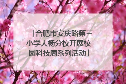 合肥市安庆路第三小学大杨分校开展校园科技周系列活动