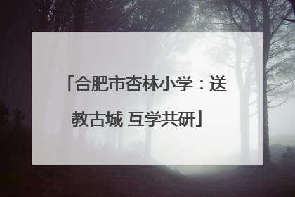 合肥市杏林小学：送教古城 互学共研