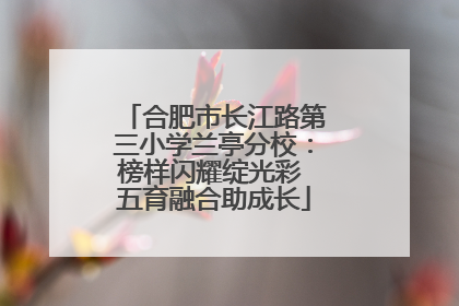合肥市长江路第三小学兰亭分校：榜样闪耀绽光彩 五育融合助成长