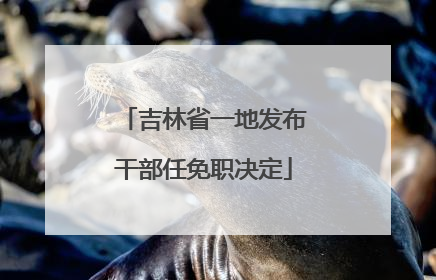 吉林省一地发布干部任免职决定