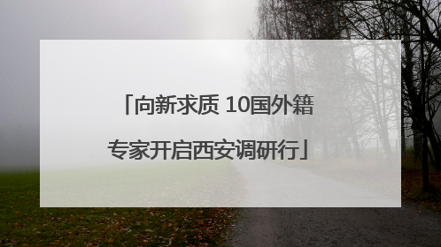 向新求质 10国外籍专家开启西安调研行