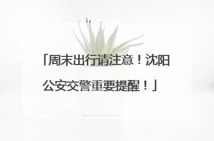周末出行请注意！沈阳公安交警重要提醒！