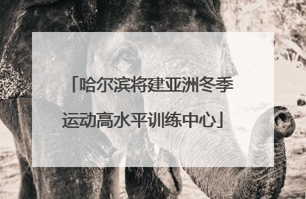 哈尔滨将建亚洲冬季运动高水平训练中心