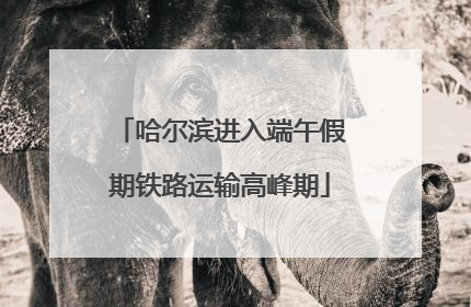 哈尔滨进入端午假期铁路运输高峰期