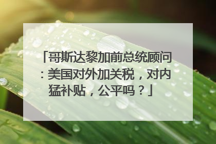 哥斯达黎加前总统顾问：美国对外加关税，对内猛补贴，公平吗？