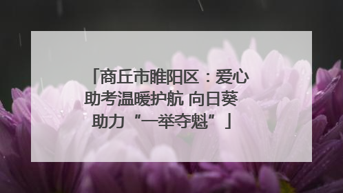商丘市睢阳区：爱心助考温暖护航 向日葵助力“一举夺魁”