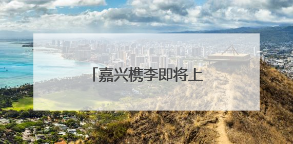 嘉兴槜李即将上市，净相村开共富工坊做槜李文创