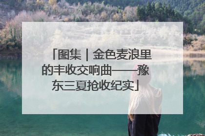 图集｜金色麦浪里的丰收交响曲——豫东三夏抢收纪实
