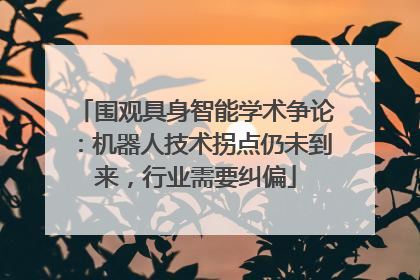 围观具身智能学术争论：机器人技术拐点仍未到来，行业需要纠偏