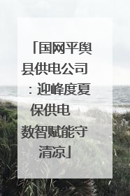 国网平舆县供电公司：迎峰度夏保供电  数智赋能守清凉