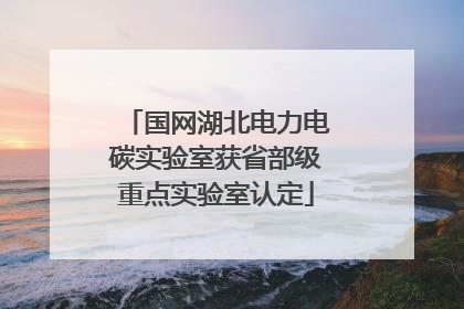 国网湖北电力电碳实验室获省部级重点实验室认定