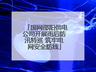 国网邵阳供电公司开展雨后防汛特巡 筑牢电网安全防线