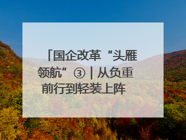 国企改革“头雁领航”③｜从负重前行到轻装上阵 重庆以“瘦身”谋“健体”