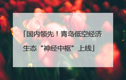 国内领先！青岛低空经济生态“神经中枢”上线