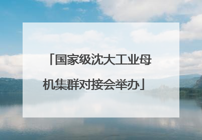 国家级沈大工业母机集群对接会举办