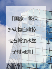 国家二级保护动物白鹭惊现石城镇水堡子村河道