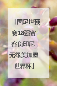 国足世预赛18强赛客负印尼 无缘美加墨世界杯