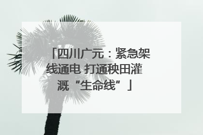 四川广元：紧急架线通电 打通秧田灌溉“生命线”