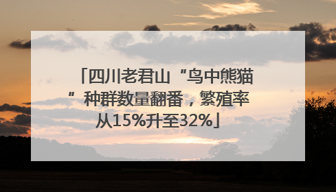 四川老君山“鸟中熊猫”种群数量翻番，繁殖率从15%升至32%