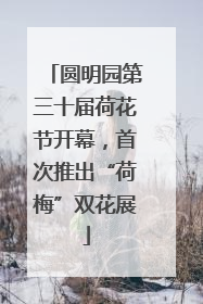 圆明园第三十届荷花节开幕，首次推出“荷梅”双花展