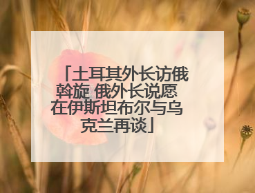 土耳其外长访俄斡旋 俄外长说愿在伊斯坦布尔与乌克兰再谈