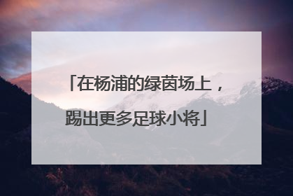 在杨浦的绿茵场上，踢出更多足球小将