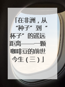 在非洲，从“种子”到“杯子”的遥远距离——一颗咖啡豆的前世今生（三）