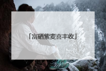 富硒紫麦喜丰收