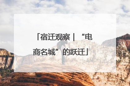 宿迁观察｜“电商名城”的跃迁