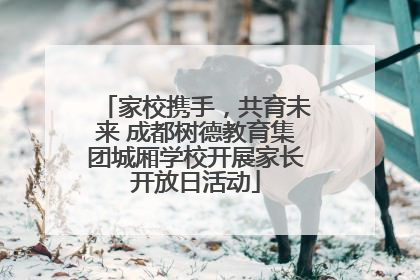 家校携手，共育未来 成都树德教育集团城厢学校开展家长开放日活动